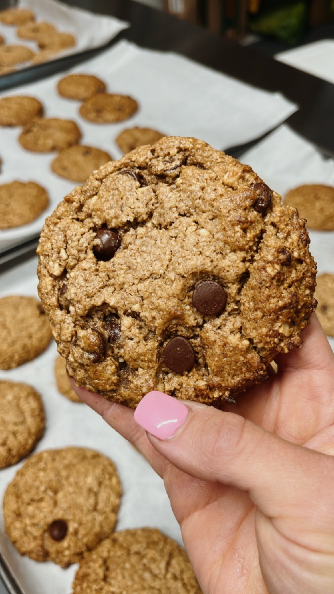 Biscuits aux noisettes & chocolat noir - Boîte de 8 (🌱)