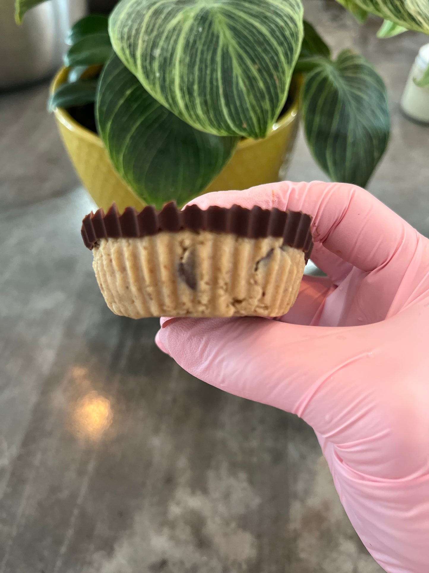 Cups « pâte à biscuit » - Boîte de 8 (🌱)