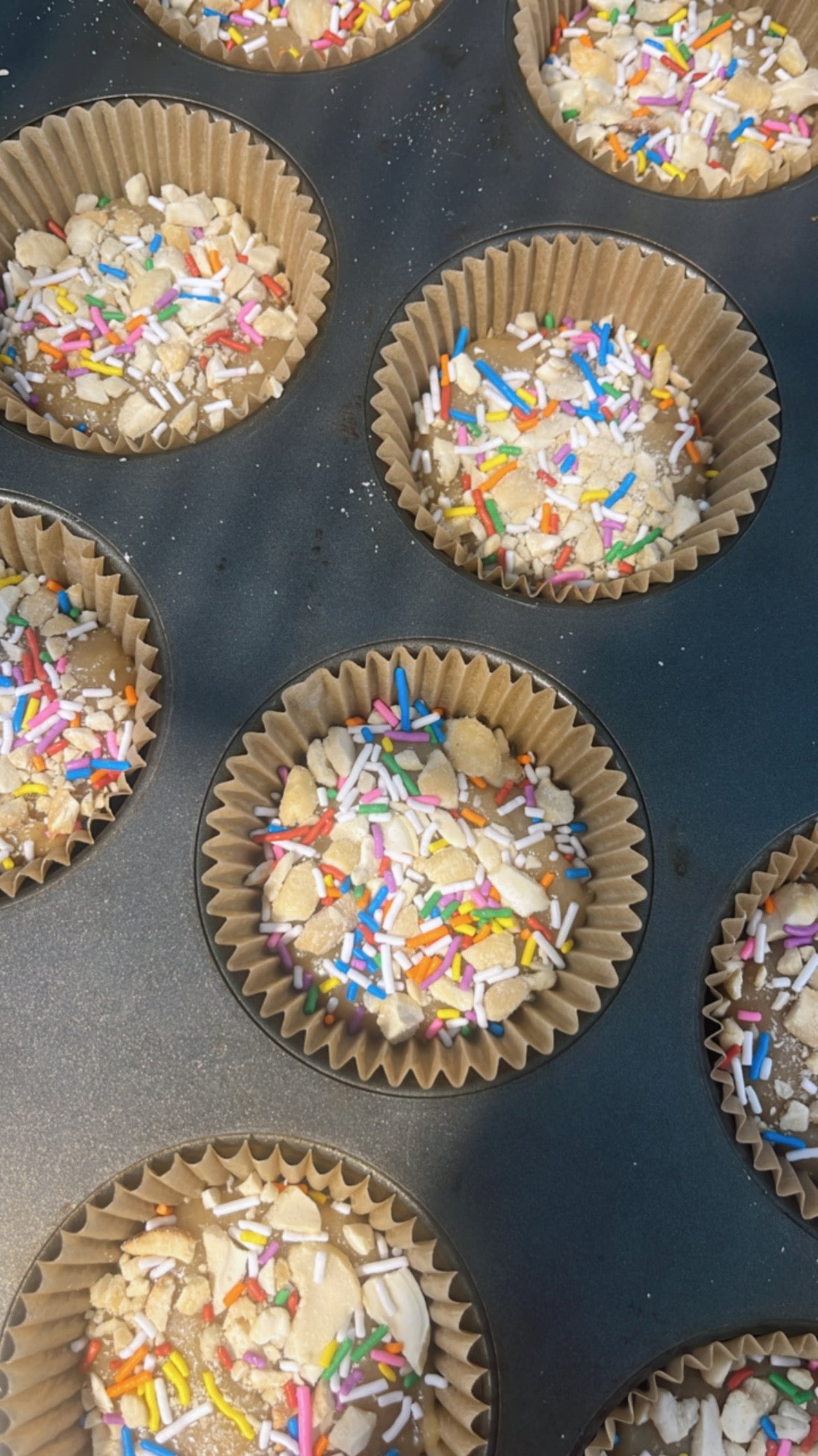 Cups « biscuits au sucre » - Boîte de 8