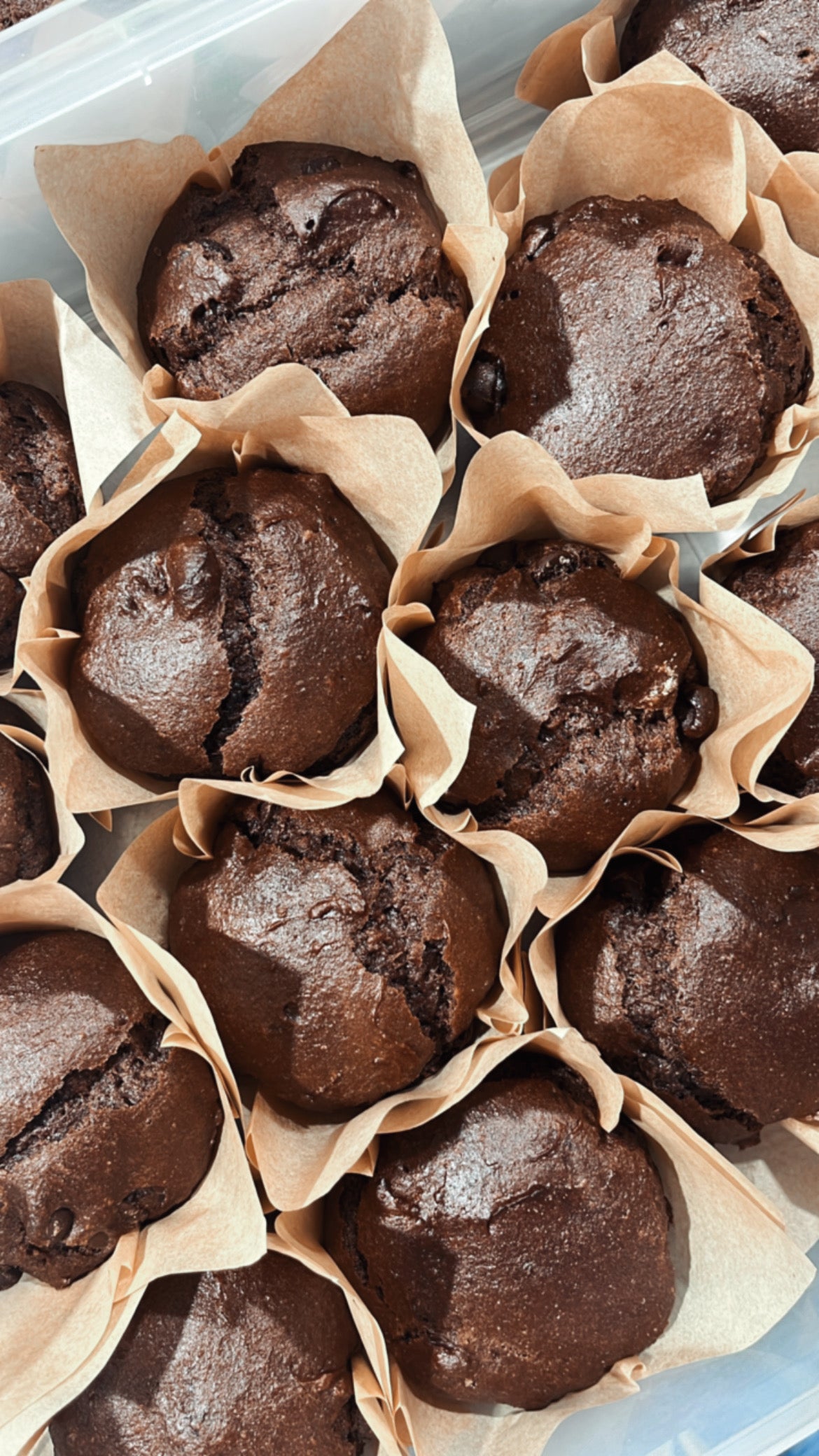 Muffins double chocolat - Boîte de 6